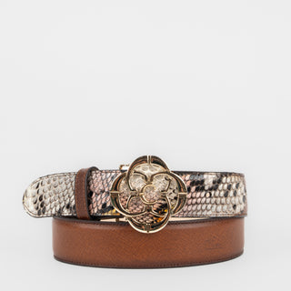 Canción Cuadra Pitón Belly Sun Orange Dama