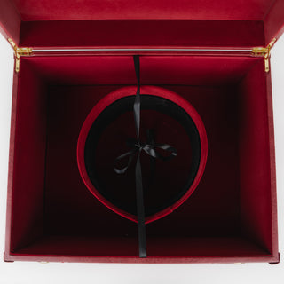 Texana Stetson Diamante 1000X Silverbelly