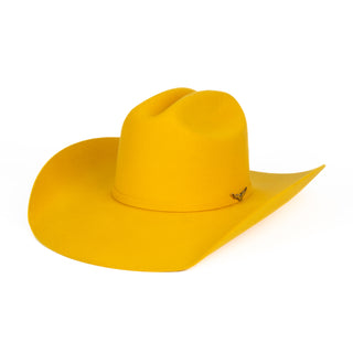 Texana Waco Western Appaloosa Amarillo