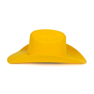 Texana Waco Western Appaloosa Amarillo