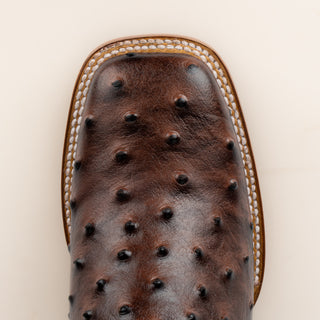 Bota Coyote Ranch Ascensión Grabado Avestruz Café Dama