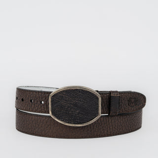 Cinturón Martelli Tiburón Choco Caballero