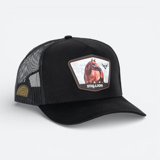 Gorra Ranch & Corral Stallion 58