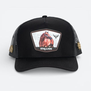 Gorra Ranch & Corral Stallion 58