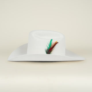 Texana Stetson Rancher 6X Reg White