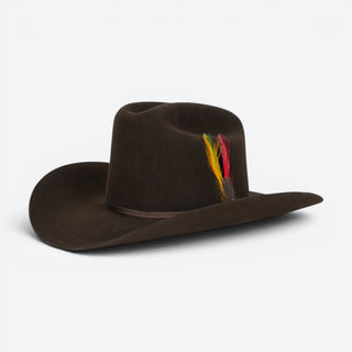 Texana Stetson Rancher 6x Chocolate 160th Edition