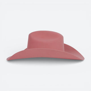 Texana Waco Western Appaloosa Rosa