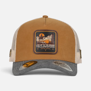Gorra Yellowstone 46