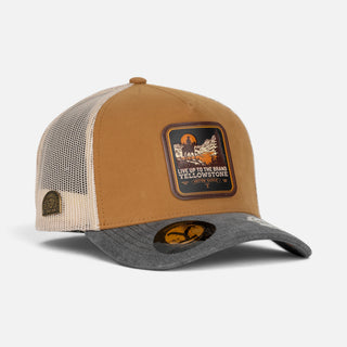 Gorra Yellowstone 46