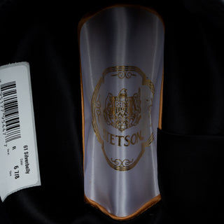 TEXANA STETSON SHASTA 10X SILVERBELLY