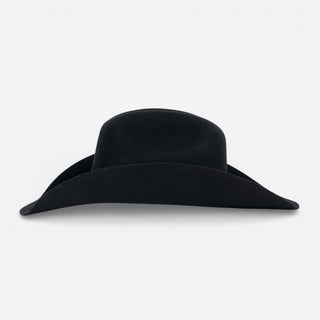Texana Waco Western Percherón Negro