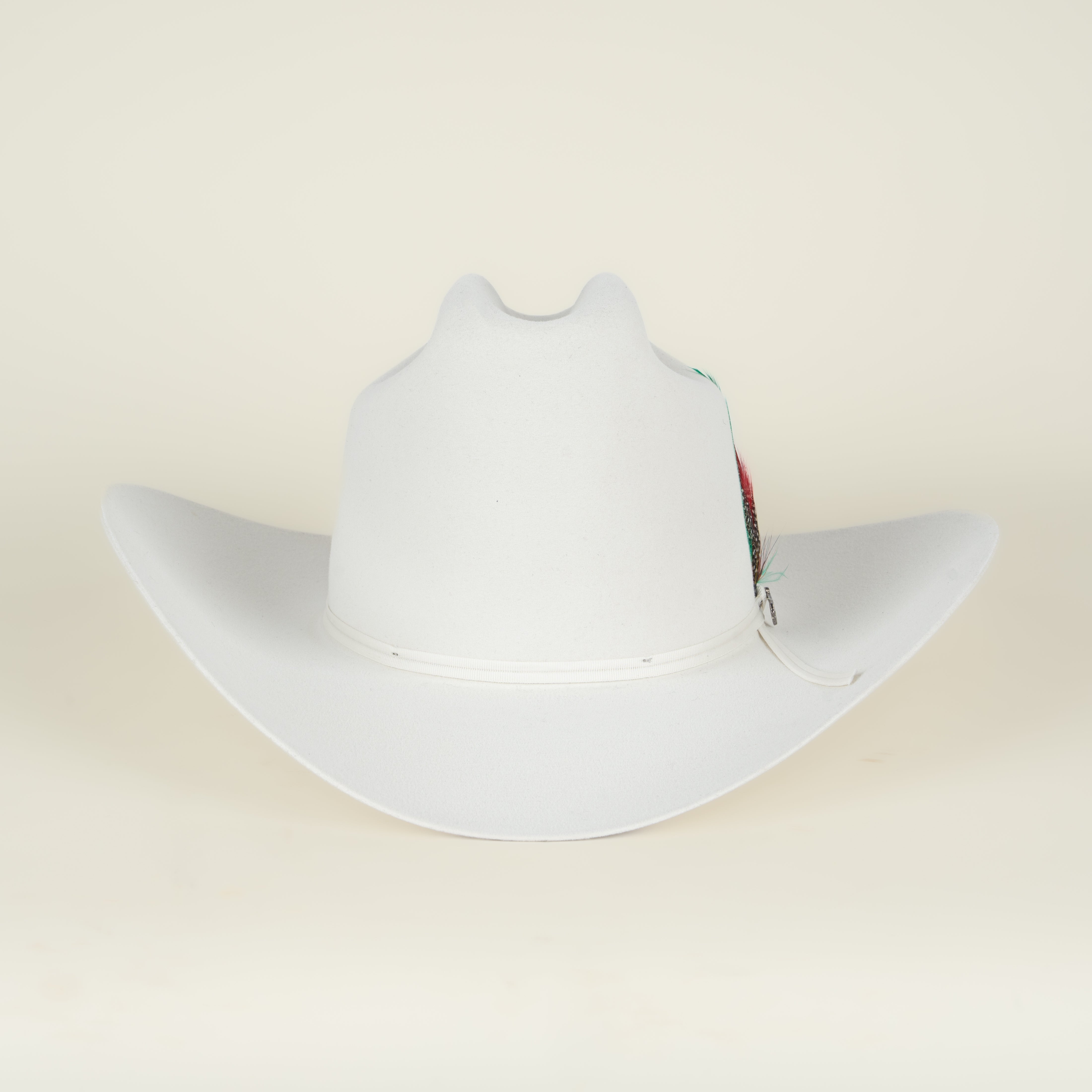 Texana Stetson Rancher 6X Reg White