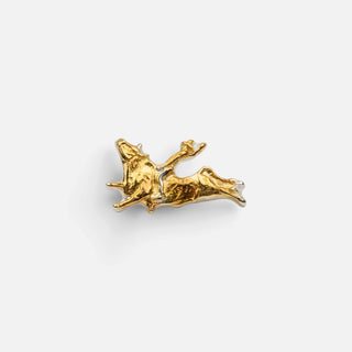 Pin Ranch Brand Rodeo