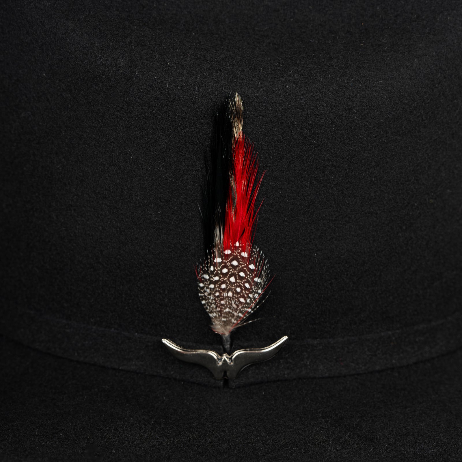 Pluma 1269