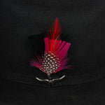 Pluma 1222