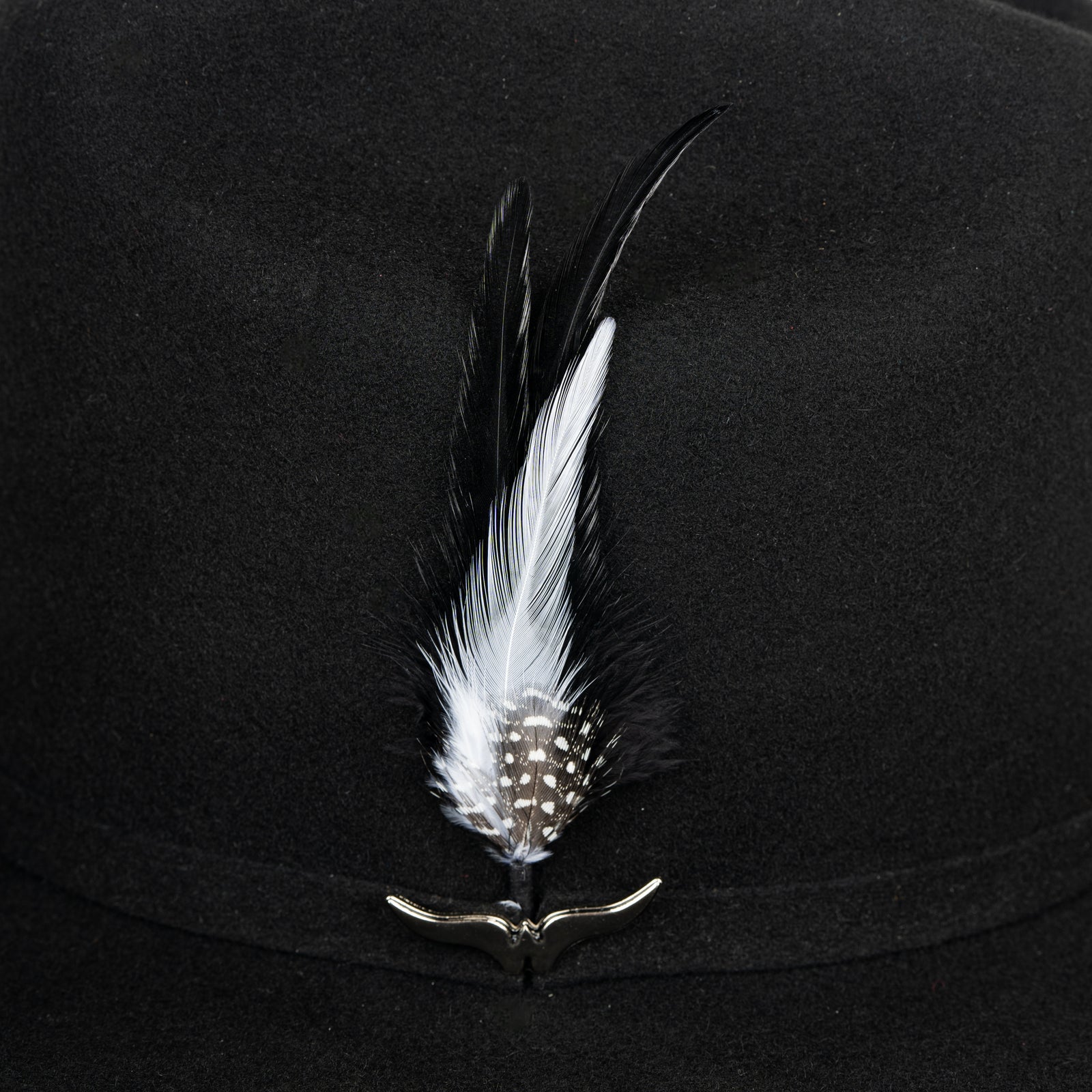 Pluma 1256