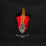 Pluma 1255