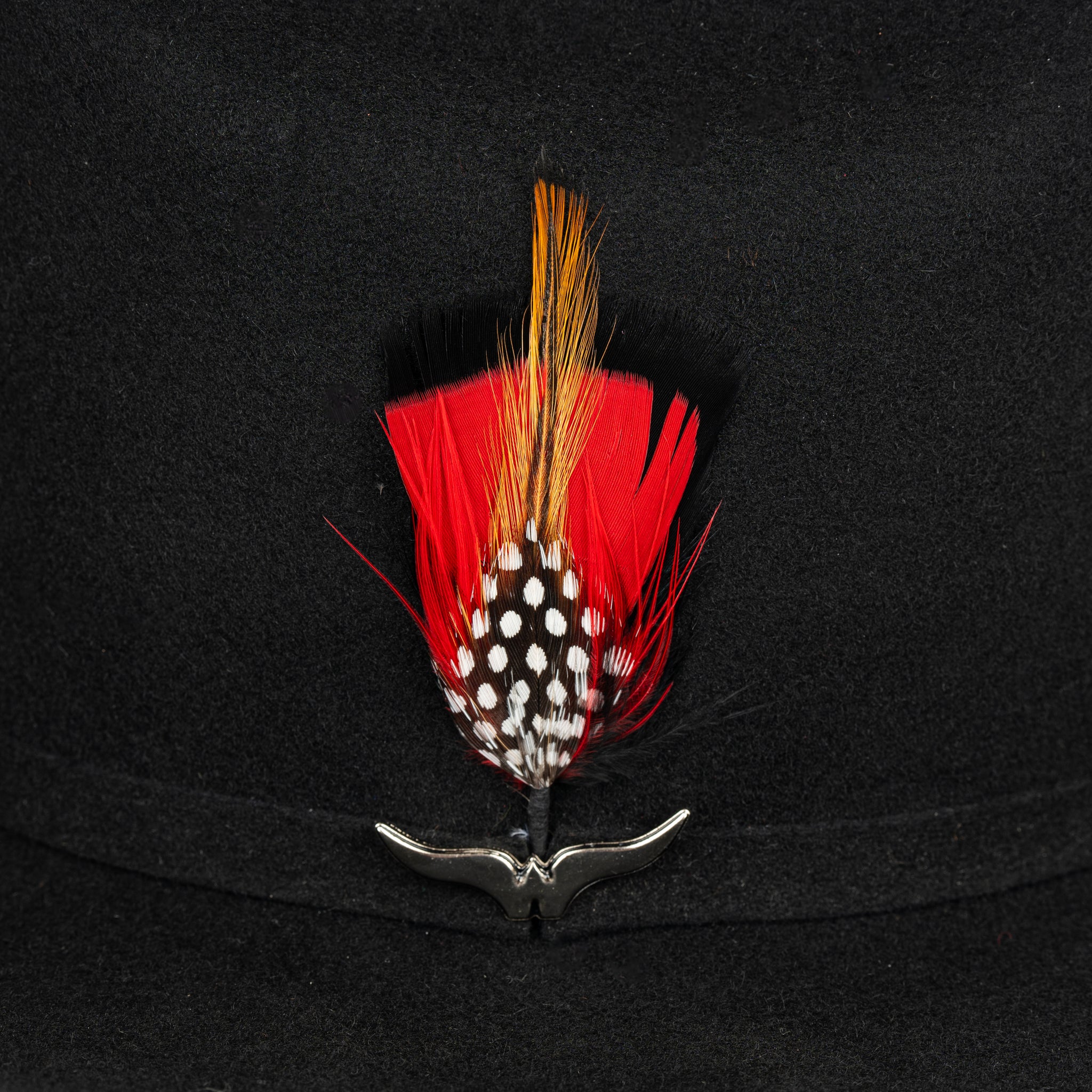 Pluma 1255