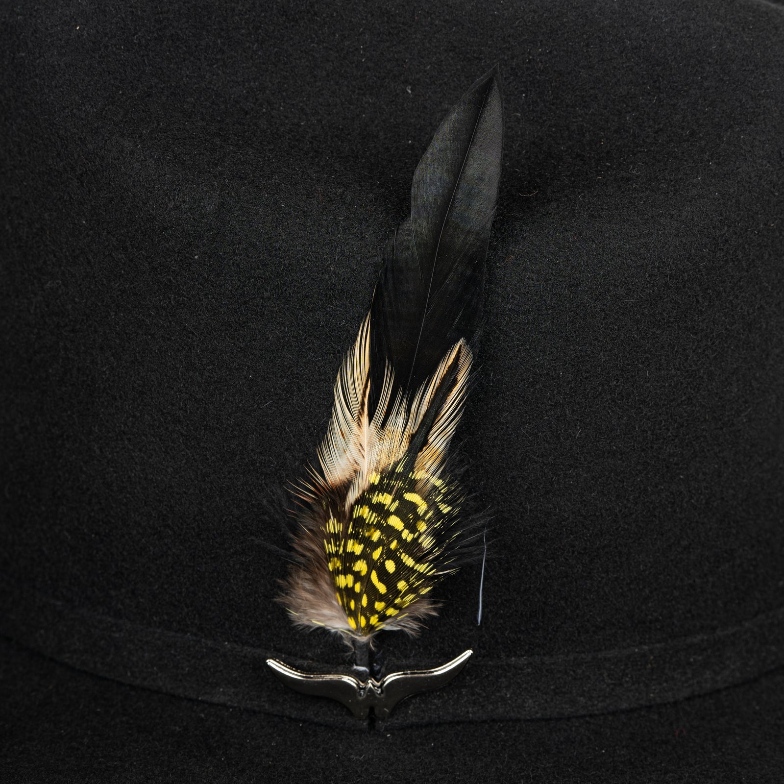 Pluma 1264