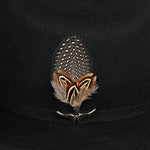 Pluma 1258