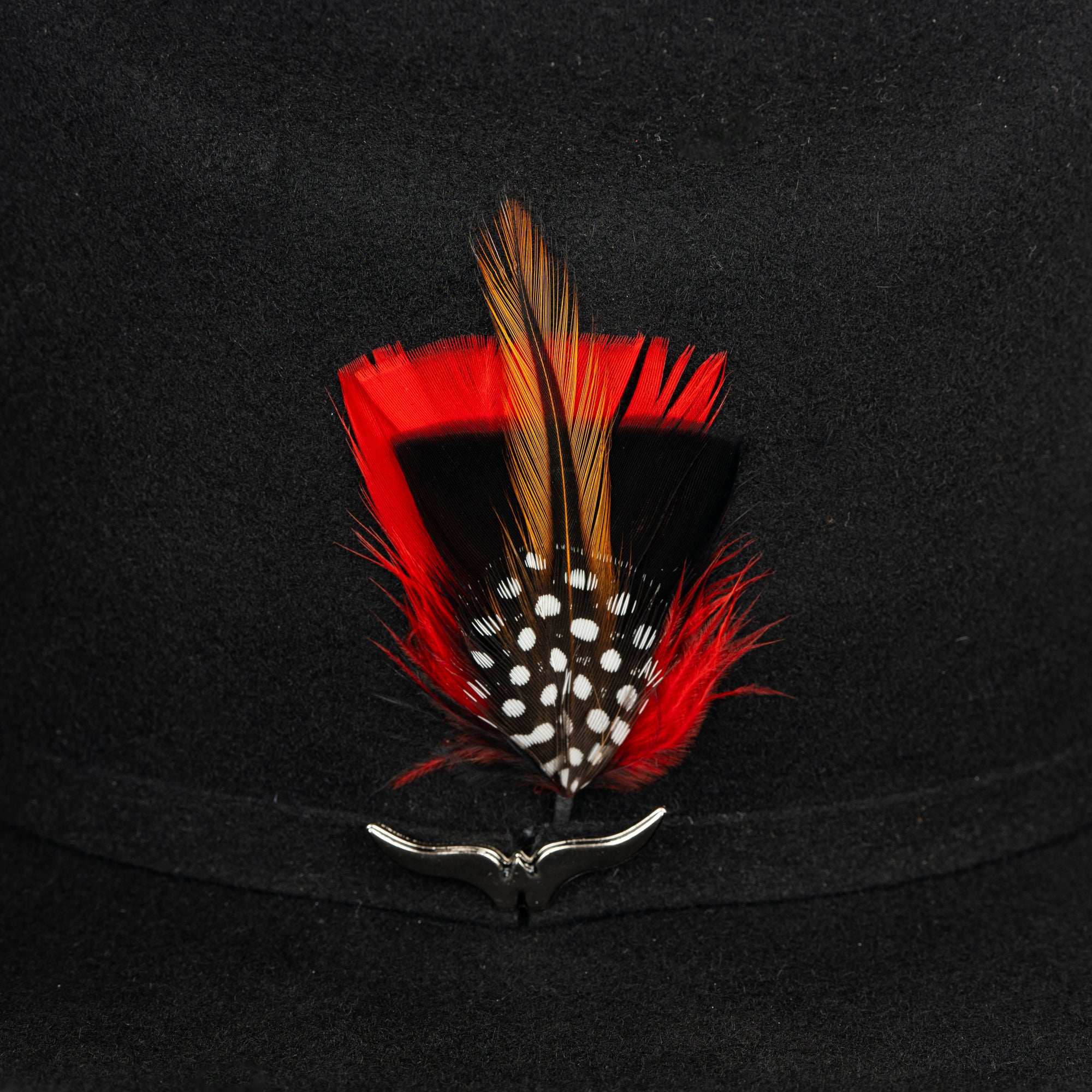 Pluma 1203