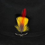 Pluma 1253