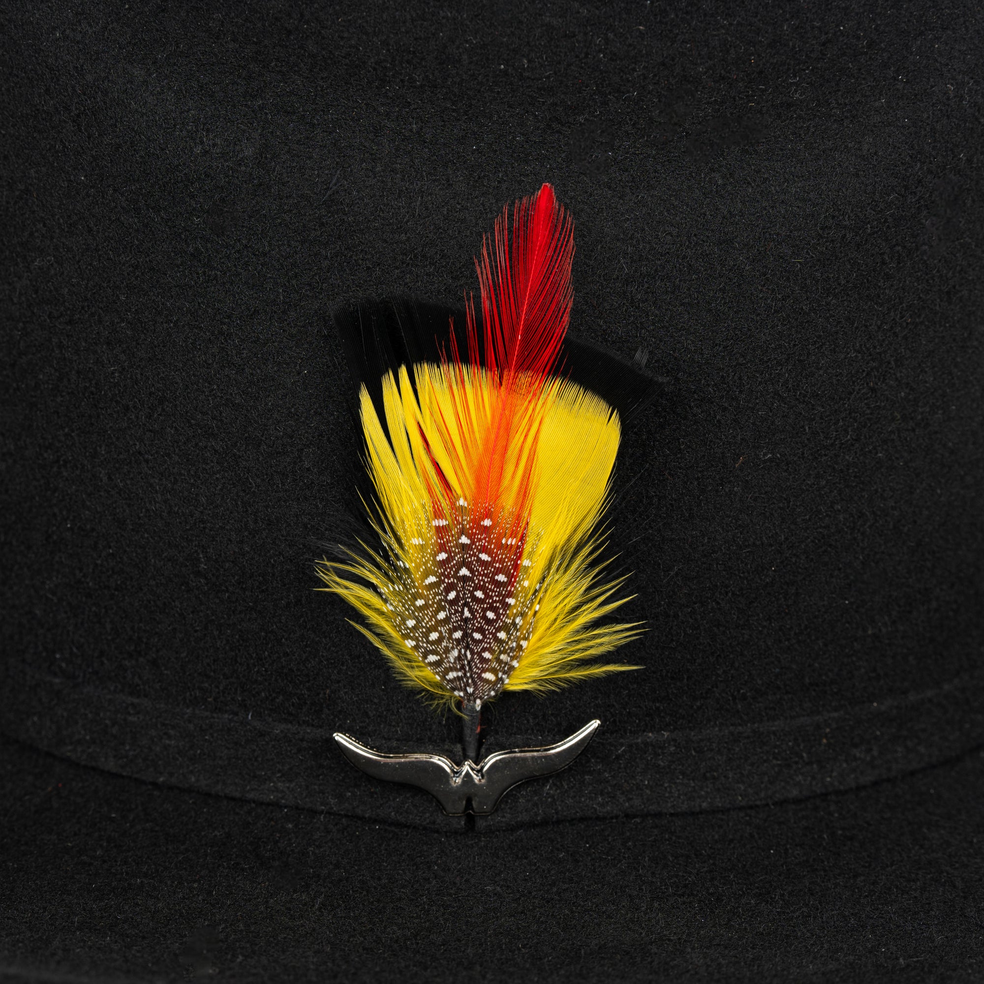 Pluma 1253