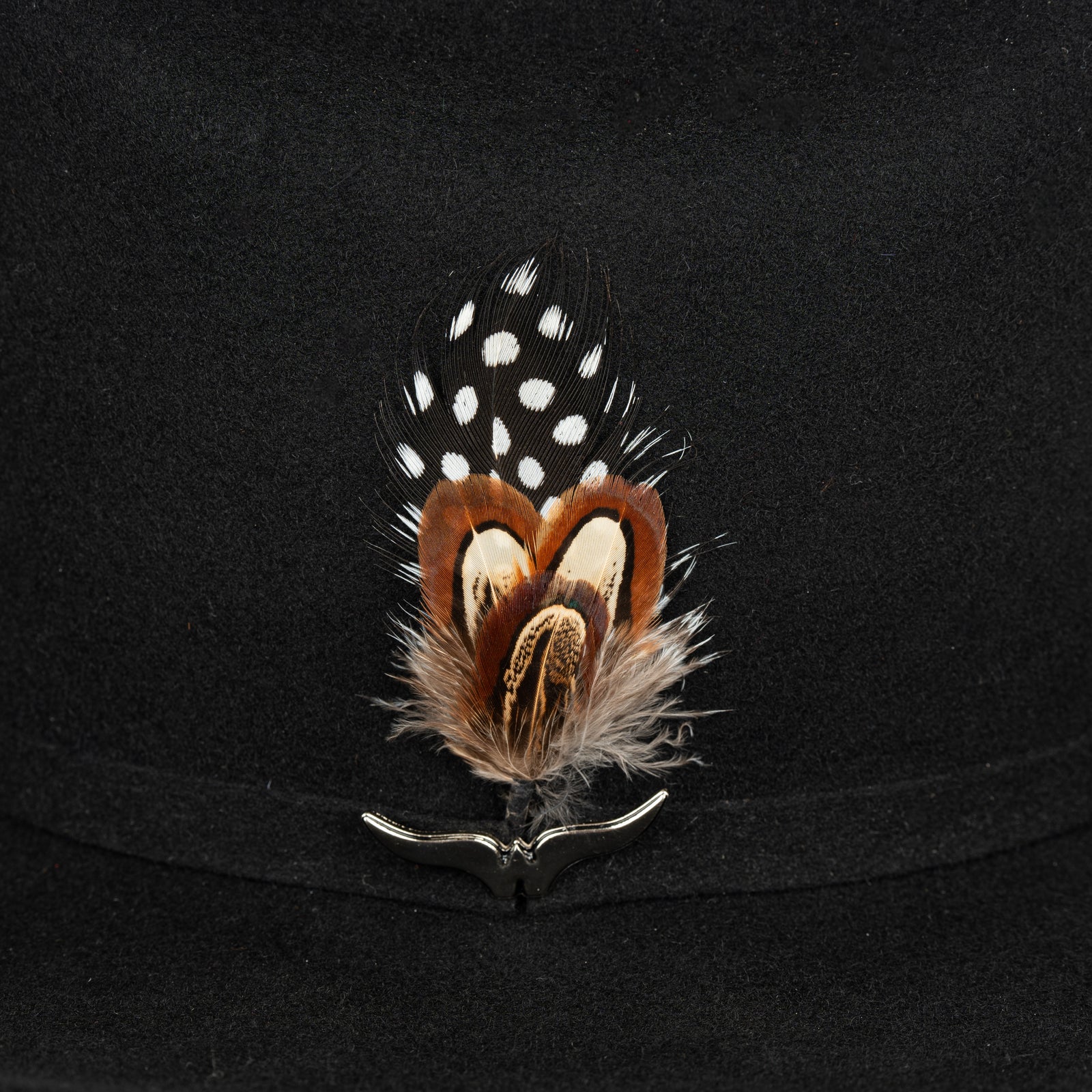 Pluma 1261