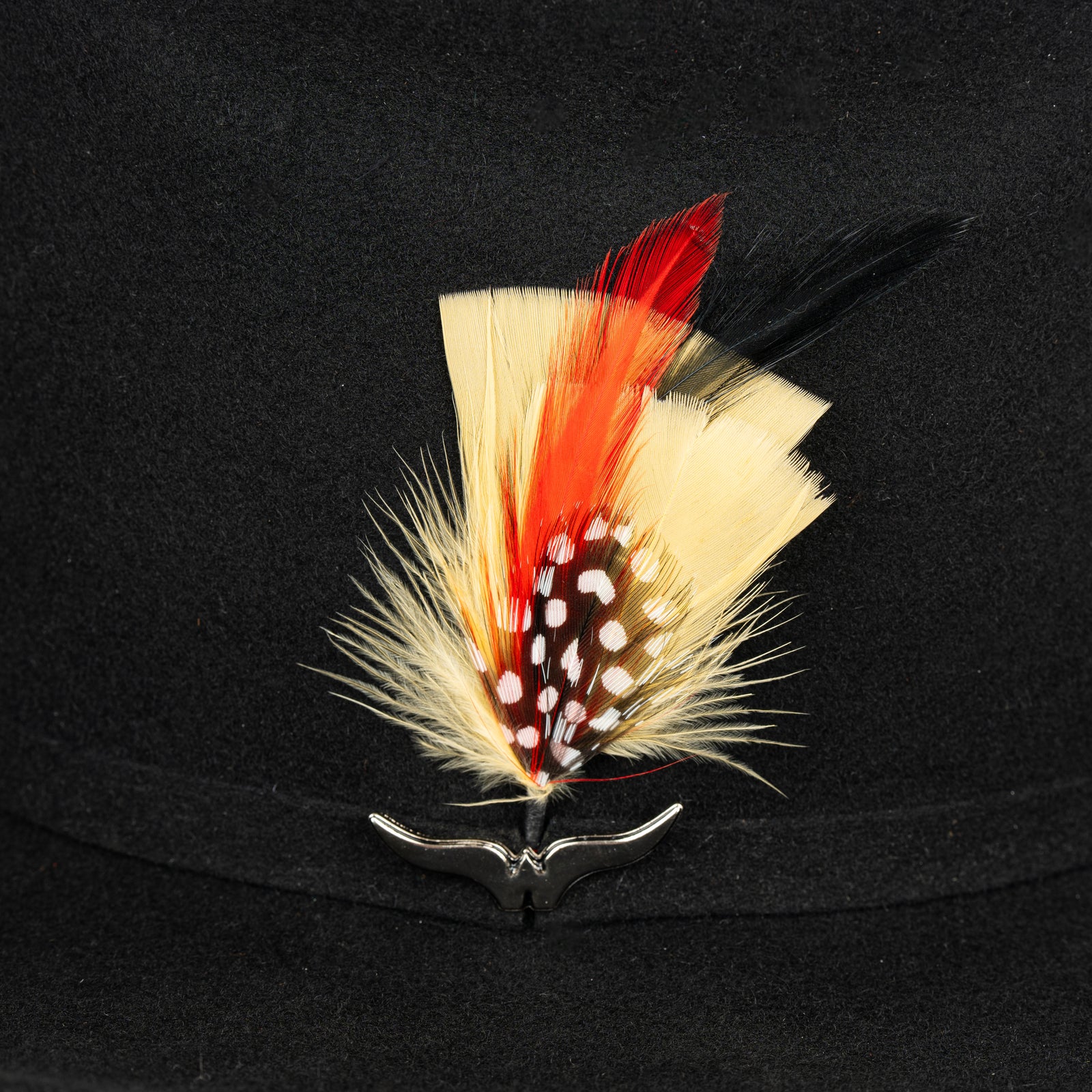 Pluma 1251