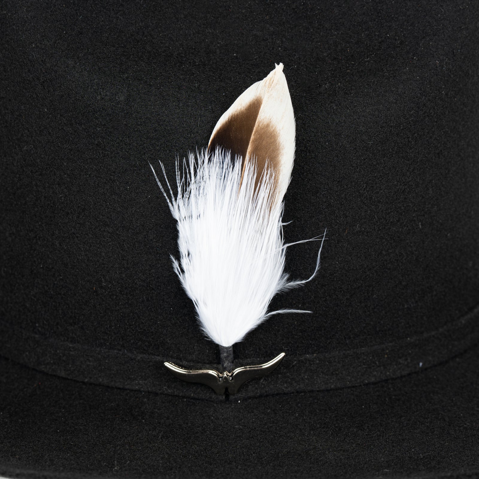 Pluma 1244