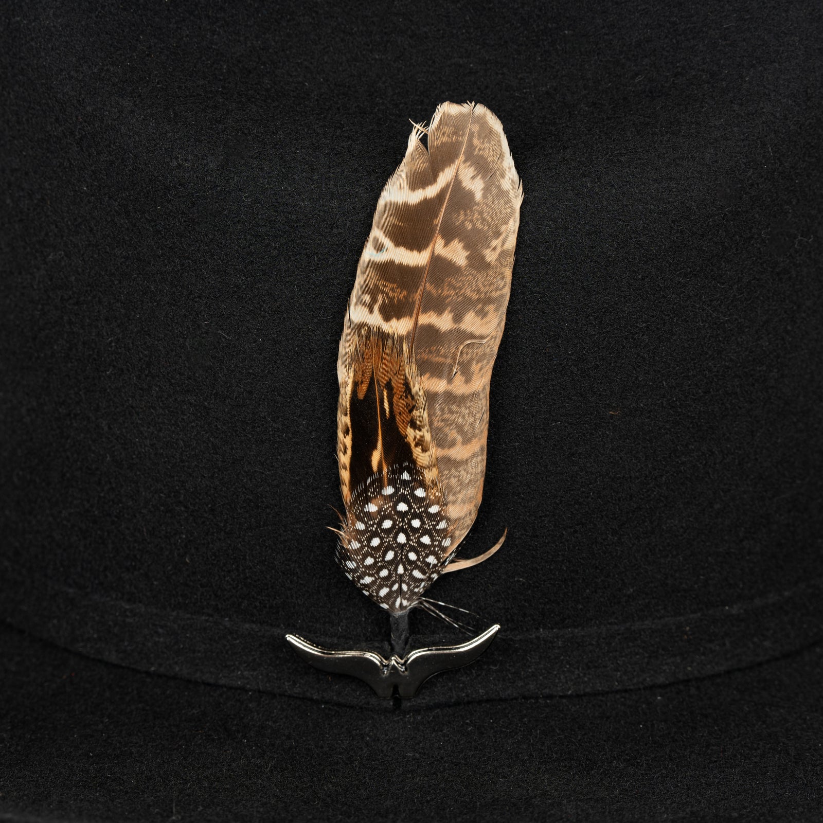 Pluma 1248