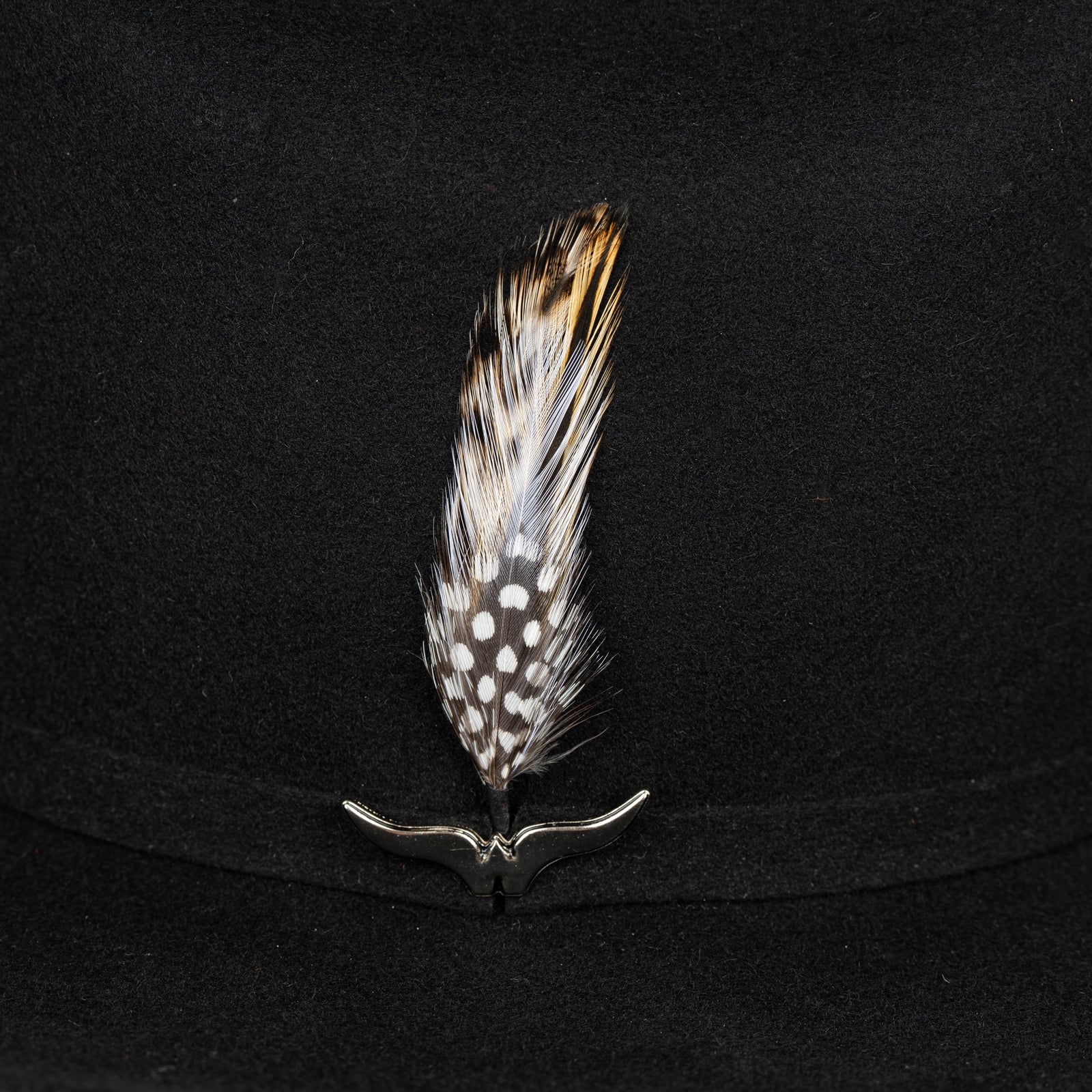 Pluma 1241