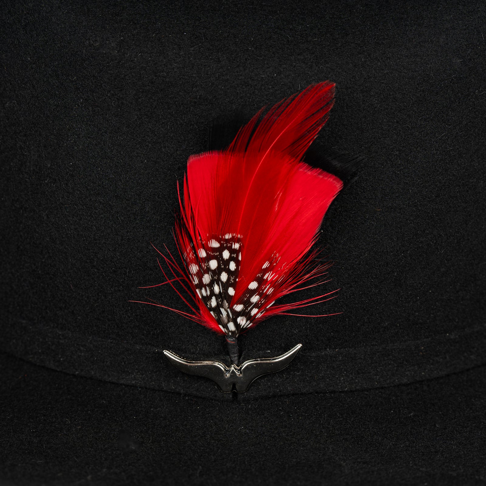 Pluma 1281