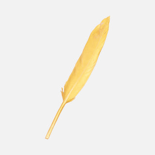 Pluma Dorada