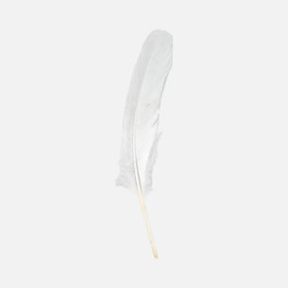 Pluma Plateada