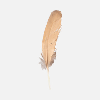 Pluma Cobre