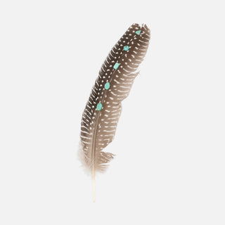 Pluma Piedra Turquesa