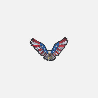Parche USA Aguila