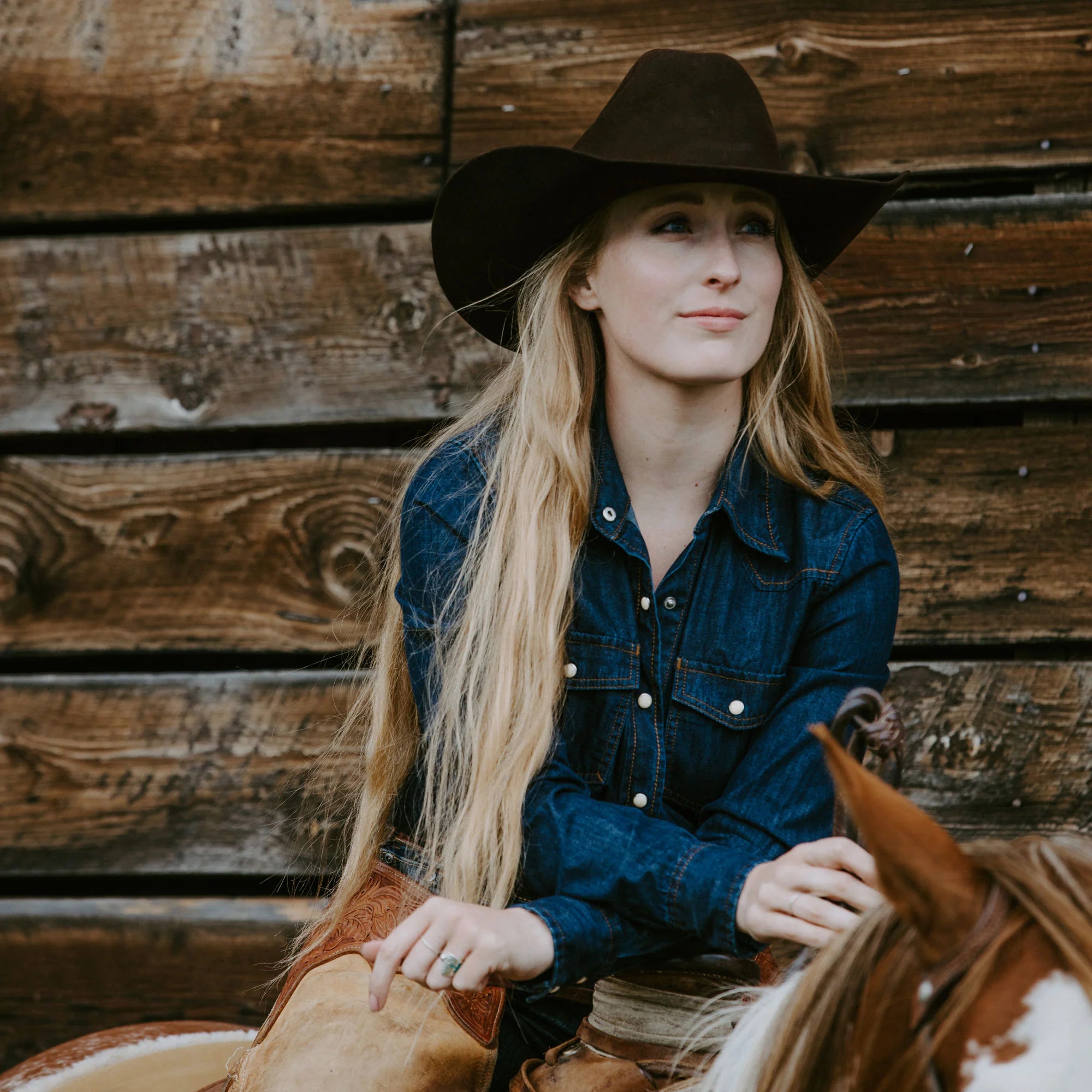 TEXANA STETSON SKYLINE 6X BLACK