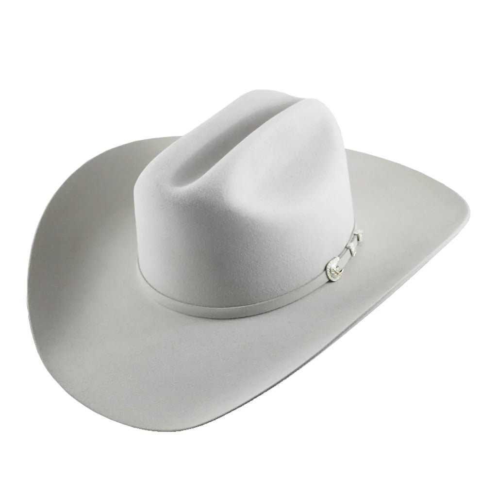 Texana sales stetson 10x